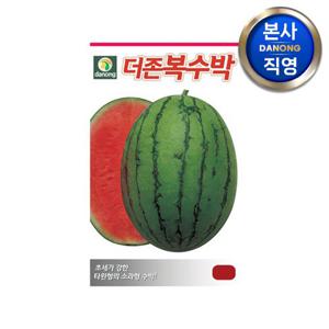더존 복수박 씨앗 10립 . 조생종 타원형 소과 채소 씨 종자 텃밭 파종 재배.