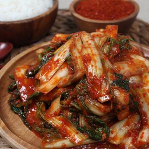 HACCP인증시설 전라도식 얼갈이김치 3kg