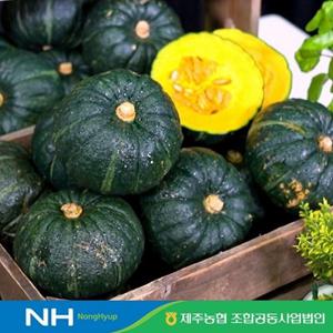 [제주농협][25년수확] 햇 미니 단호박 7kg(12~18입)