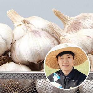 황토 무안 통마늘(대서마늘)/대5kg