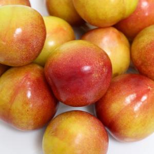 [품질보장] 새콤 달콤 제철 추희 자두 1.5kg 100g내외