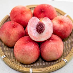 [자연품애 복숭아] 딱딱이 복숭아 2kg 랜덤과