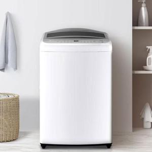 [8월 2주차 이후 순차배송] 18kg 통돌이 세탁기 T18WX7