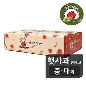 산들앤 달코미 여름 햇 세척사과 1 box (총 5kg)