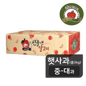 산들앤 달코미 여름 햇 세척사과 1 box (총 3kg)