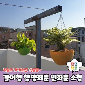 베란다텃밭 걸이형 행잉화분 빈화분 소형 테라스꾸미기
