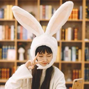 토끼 사진관 파티 동물모자 인싸모자 머리띠 행사 역할극 쓸데없는 쓸모없는 친구선물