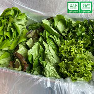 [산지직송]GAP 친환경 유러피안 쌈채소 1kg(4-6종/랜덤)