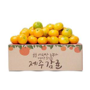 제주 하우스 감귤 3kg 로얄소과