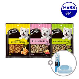 시저 프리미엄 간식 280gx2개 골라담기+애견칫솔+베베숲물티슈1팩