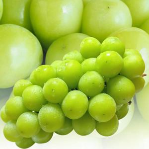 포미식탁 씨없는 고당도 샤인머스켓 포도 2kg 5-6수 (중품)