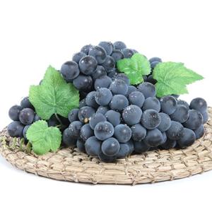 국내산 캠밸 포도 2kg 특품