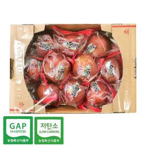 [푸른들] 경북 세척사과 중과 2.5kg (11-12과)