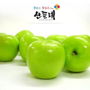 [산들네] 25년 햇 상큼 깔끔한 경북 햇아오리 사과 4.5kg 23과내외