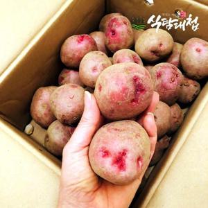갤러리아_식탐대첩 국내산 포슬포슬 속이노란 홍감자 5kg 중소