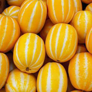 고당도 성주 꿀 참외 5kg 산지직송