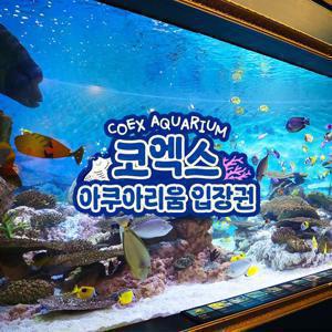 [슈퍼트립] 서울 삼성 코엑스아쿠아리움 단독 프로모션, 이용기간 최대 8월 31일까지, 주중&주말 공통혜택