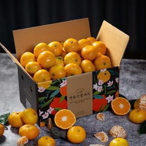 [20% 중복쿠폰한정수량] 새코롬 제주 하우스 감귤 로열소과 / 2kg (2개 구매시 500g 추가증정)