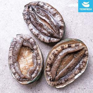 [APP전용]완도 활전복 1kg 8-9미 [산소팩, 무료배송]
