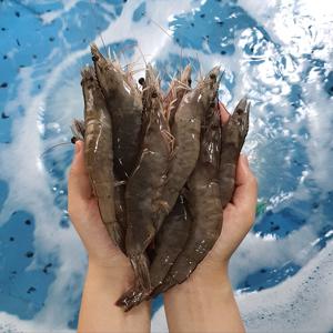 25년 첫출하 생물 흰다리새우 1kg 33-35미내외