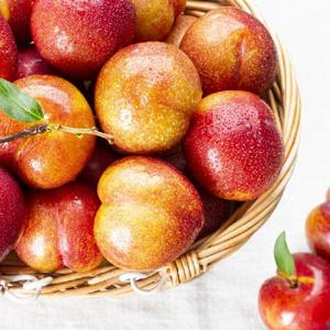 과일친구 의성 새콤달콤 자두 2kg/3kg/5kg 로얄과후무사