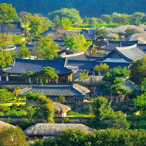 [지원특가/상품권제공] 안동 왔니껴 투어 로얄웨이 당일여행 / 봉정사, 하회마을, 병산서원