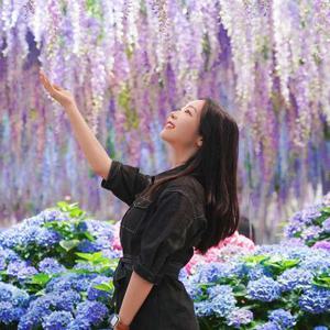 가평베고니아새정원 상시 입장권 (~10.31)