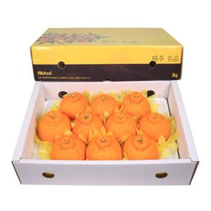 제주 한라봉 선물세트 3kg 5kg 10kg