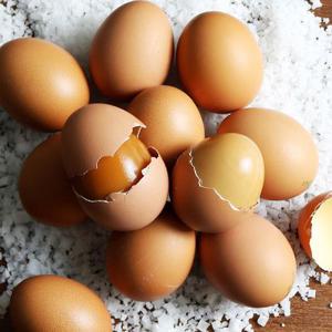 쫄깃한 구운계란 대란 60구 HACCP 인증