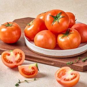 [더자인] 국내산 완숙토마토 쥬스용 10kg 혼합과