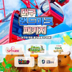 [대구] 랜드마크 패키지 이용권