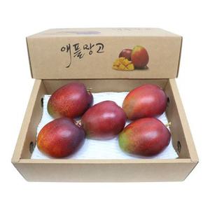 제주 애플망고 3kg