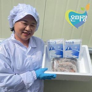 오성푸드 온미랑 국내산 동해안 영덕 당일바리 초코 생물급냉 총알(통)오징어 1kg 6-15미