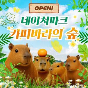 [대구] 네이처파크 카피바라의 숲