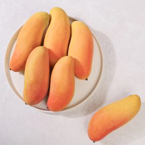 태국산 마하차녹 무지개망고 5kg 14~16과