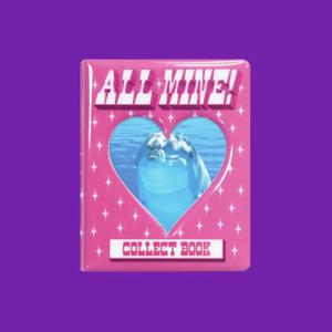 COLLECT BOOK PINK
