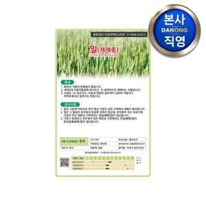 밀씨앗(재래종) 1kg . 곡물 파종용 대용량 밀가루 재배용 씨 종자.