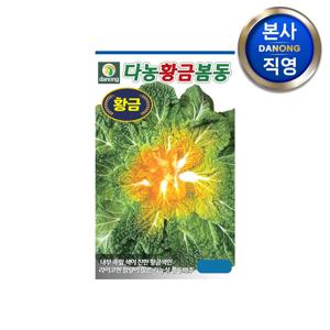 다농 황금봄동 배추 씨앗 500립 . 채소 가을 김장 겉절이 텃밭 월동 씨 종자.