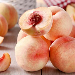 청도 노지 월봉 복숭아 1kg 중소과 (4-7과)