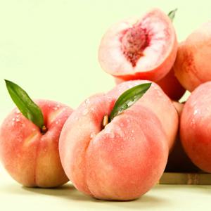 영천 노지 창방 복숭아 1.5kg 중소과 (9-12과)