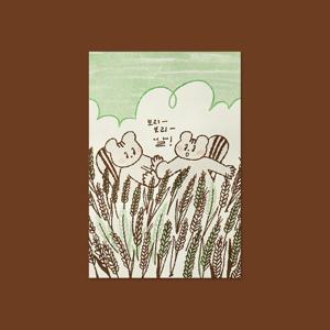 The season of barley 청보리의 계절 일러스트 엽서