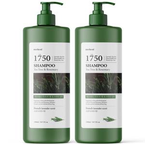 1+1 티트리 로즈마리 샴푸 1500ml 약산성 퍼퓸 두피 미용실 향기좋은 대용량