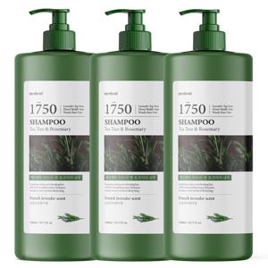 1+1+1 티트리 로즈마리 샴푸 1500ml 약산성 퍼퓸 두피 미용실 향기좋은 대용량