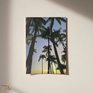 Project Hawaii #3 미드센추리 야자수 인테리어 포스터