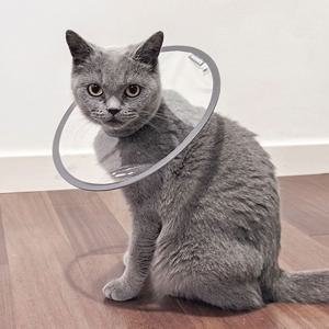 강아지 고양이 넥카라 UFO 초경량 여름