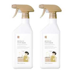 1+1 대용량 다목적 세정제 750ml 클리너 주방 욕실 베란다 가스렌지 후드 청소 기름때