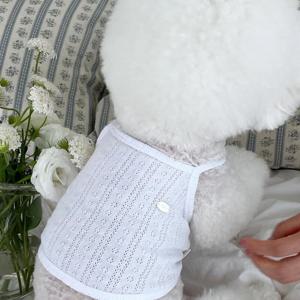 여름 아일렛 크롭 니트 강아지티셔츠