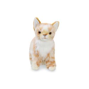 7224 아기고양이갈색 동물인형/22cm.L