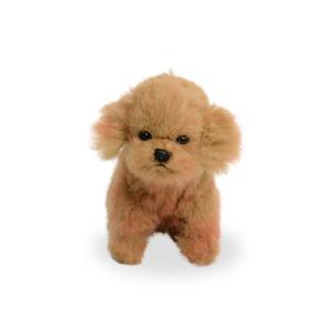 8418 토이푸들 티컵 강아지 동물인형/16cm.H