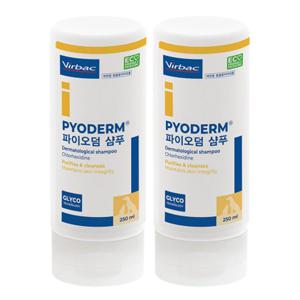 버박 파이오덤 약용 샴푸 250ml x 2개